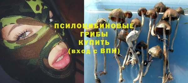 марки lsd Богородицк