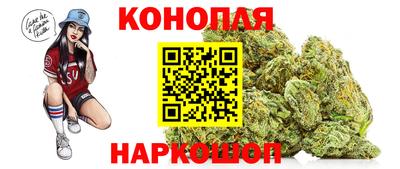 эйфоретик Аргун