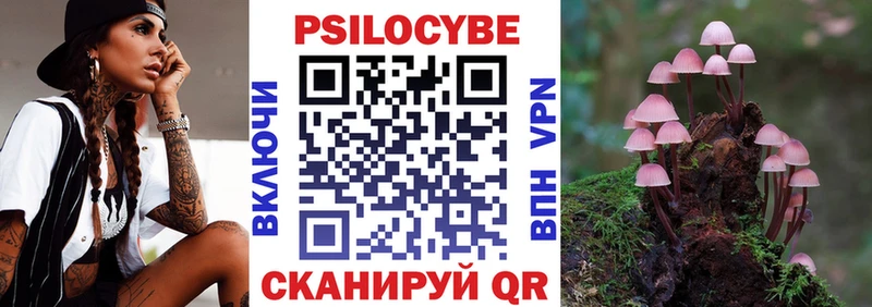 Псилоцибиновые грибы Psilocybe  Бугульма 