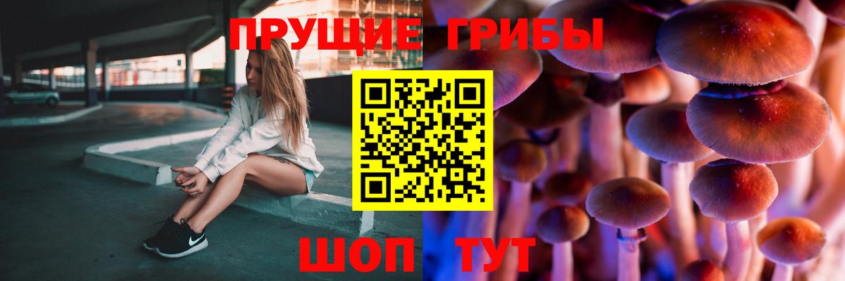 Псилоцибиновые грибы MAGIC MUSHROOMS Бугульма